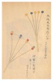 038 大阪天王寺花 / 伊勢の色団子
