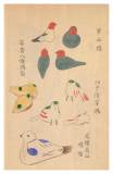 092 各地の鳩笛