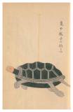097 亀戸張子の釣もの