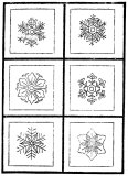 続雪華図説 0024