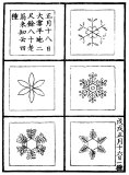 続雪華図説 0030